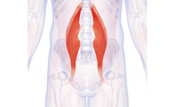 Psoas Stretching And Strengthening