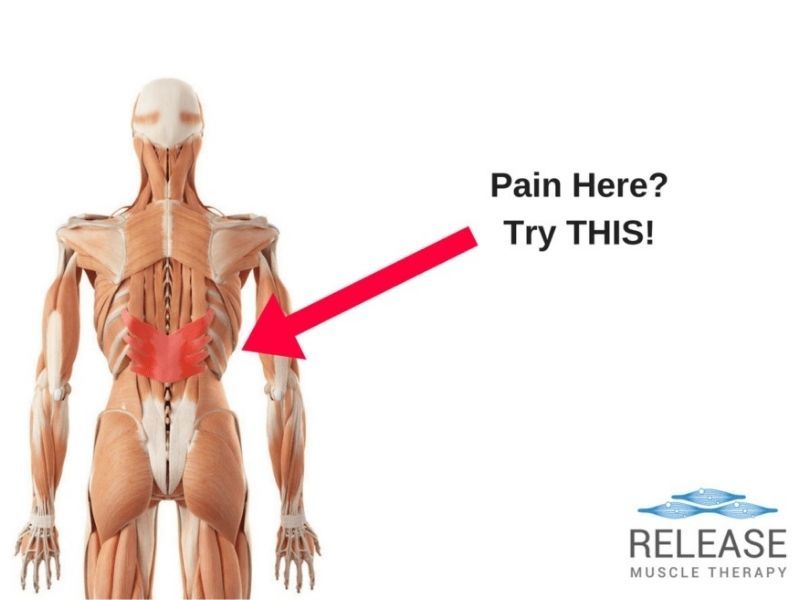 Serratus Posterior Inferior How To Fix