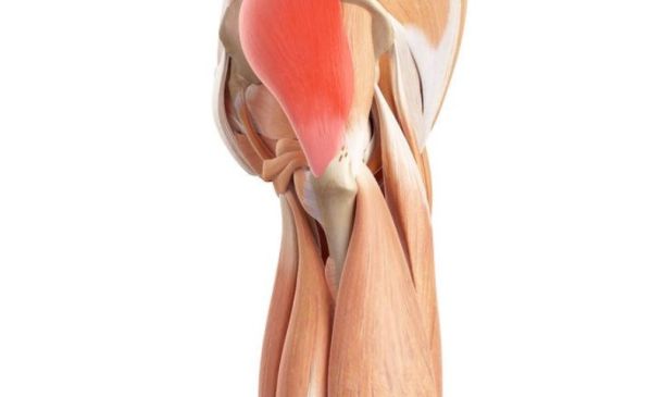 Gluteal Tendinopathy | Identify And Fix