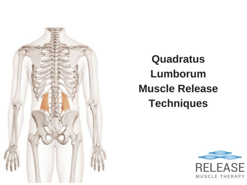 Top 3 Quadratus Lumborum Release Techniques For Pain Relief