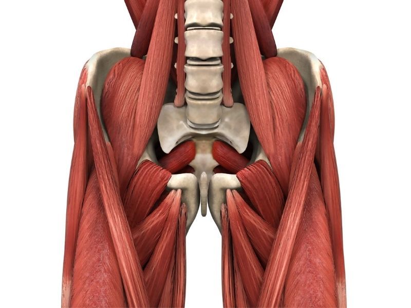 PSOAS Muscle Release Technique