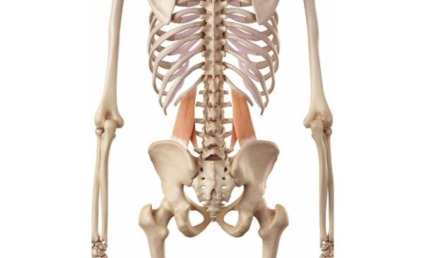 Quadratus Lumborum Stretches