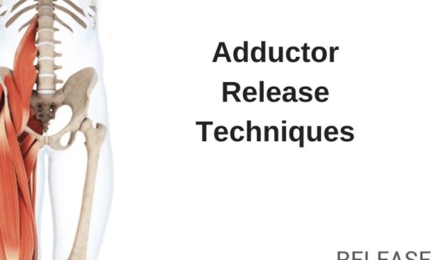 Adductor Myofascial Release Techniques