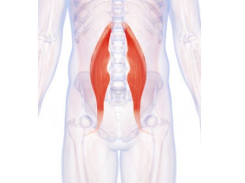 Psoas Stretching And Strengthening