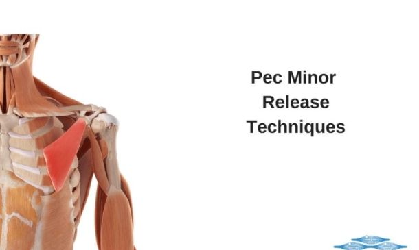 Pec Minor Release Techniques