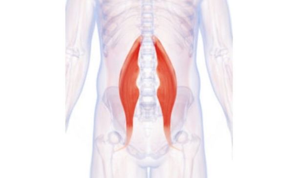 Psoas Stretching for Different Lifestyles