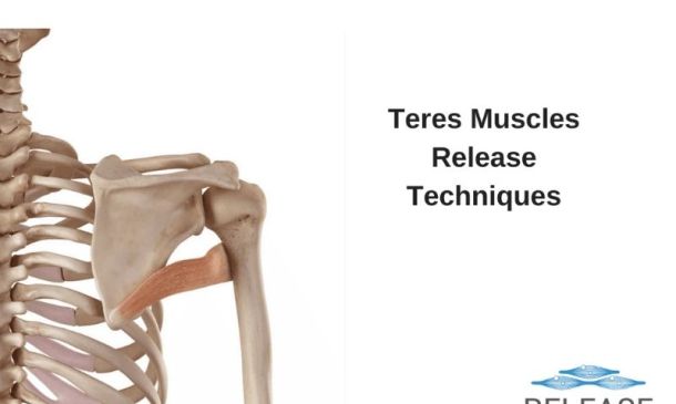 Teres Release | Most Effective Myofascial Techniques