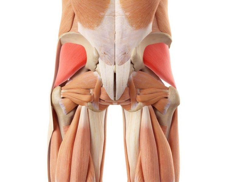 Gluteus Minimus Exercise