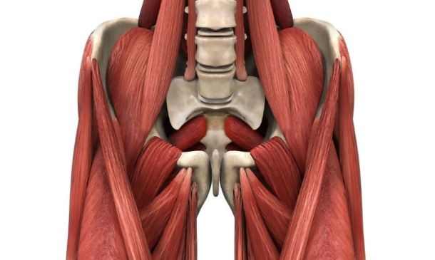 PSOAS Muscle Release Technique