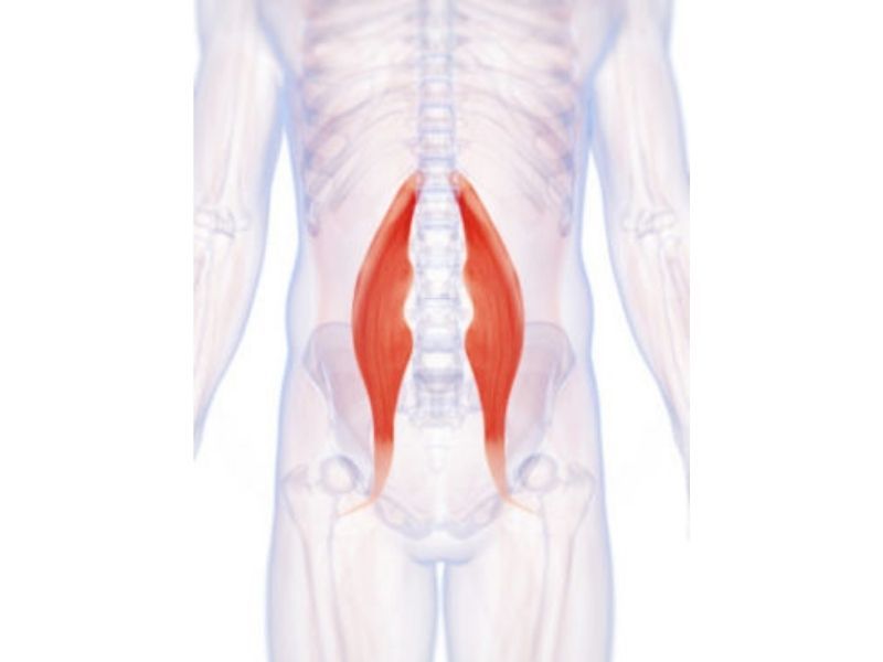 Psoas Stretching for Different Lifestyles