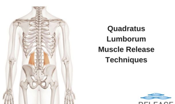 Top 3 Quadratus Lumborum Release Techniques For Pain Relief