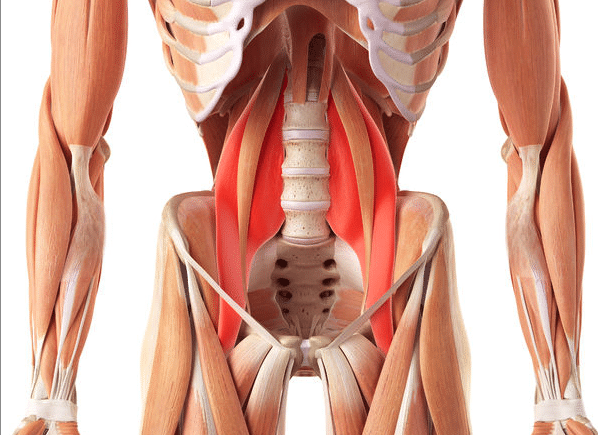 Debunking Myths and Misconceptions About Psoas Stretching