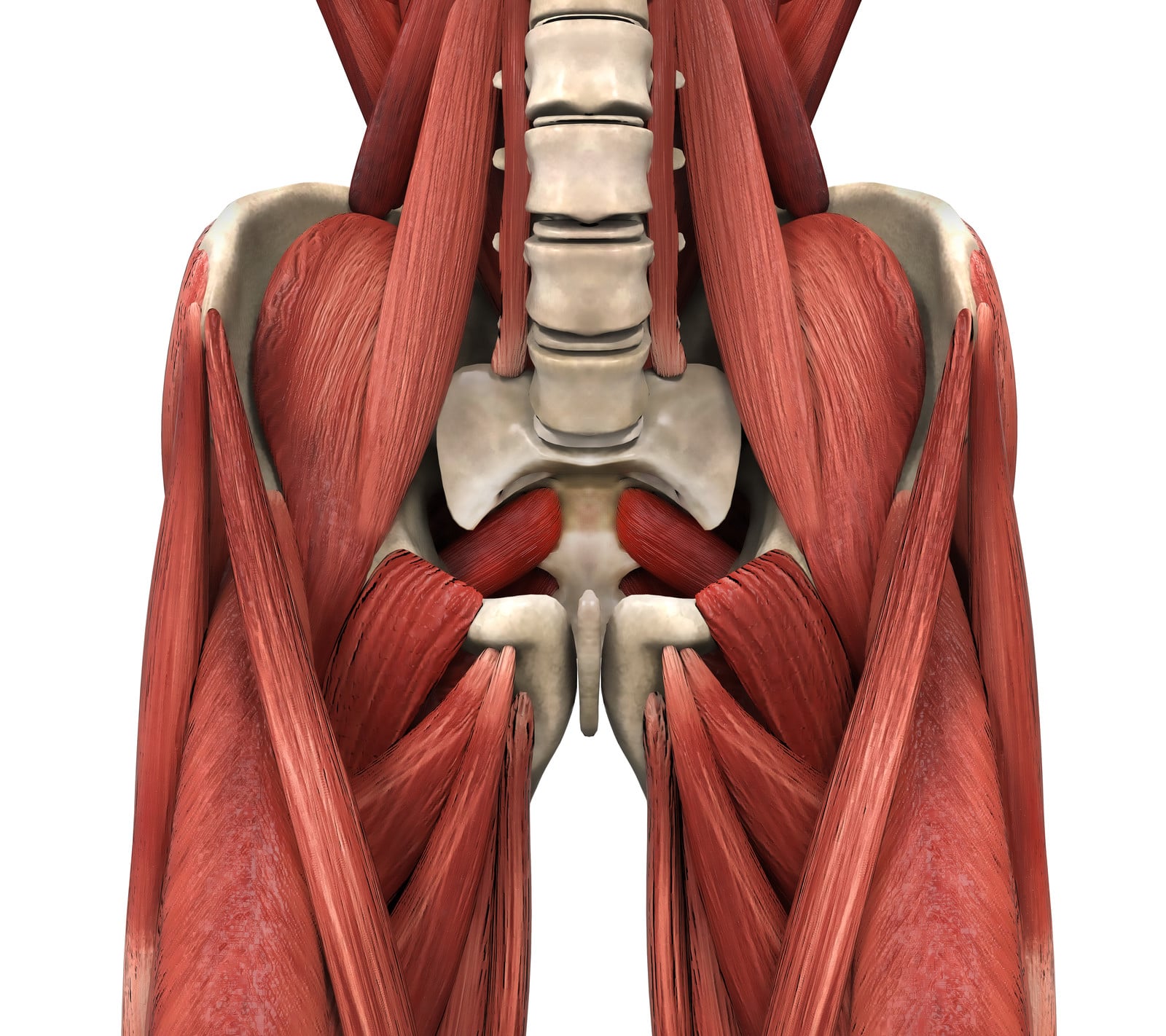 6 Step Guide to Releasing a Tight Psoas Muscle