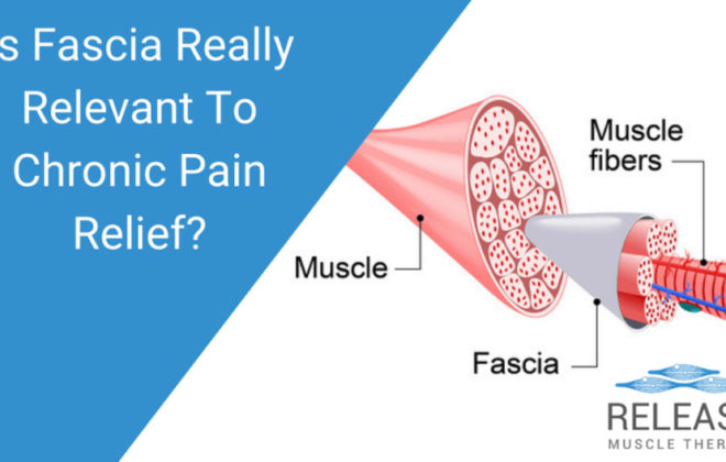 Is-Fascia-Really-Relevant-To-Chronic-Pain-Relief