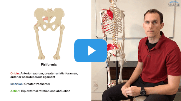 https://releasemuscletherapy.com/wp-content/uploads/Piriformis-Muscle-Anatomy-min.png