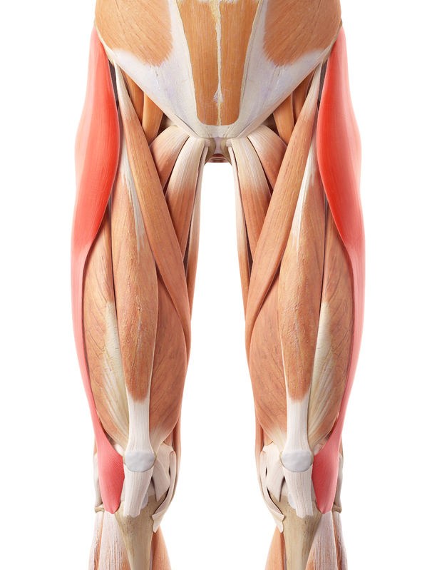 The Ultimate Guide to Tensor Fascia Lata Stretch: Improve Flexibility and  Relieve Pain