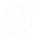 Check Icon