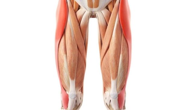 Tensor Fascia Lata Stretch